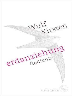 cover image of Erdanziehung